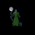 Tor